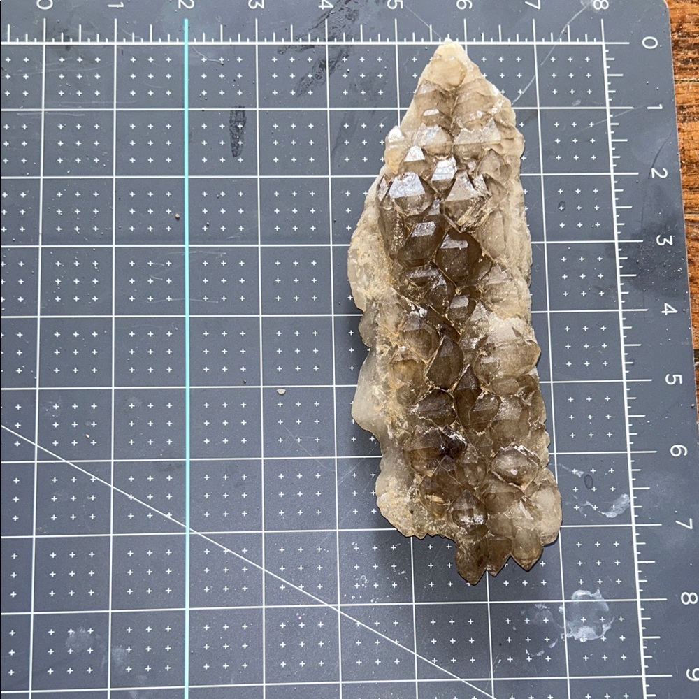 Smoky Quartz Alligator Elestial Crystal Cluster -absolutely amazing